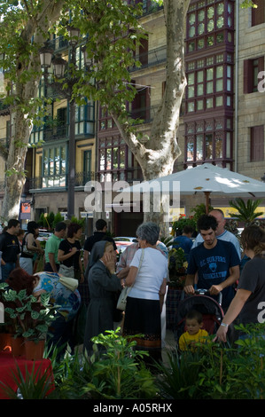 Sunday Morning Flower Market in the Old City, Bilbao, Spain Stock Photo