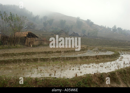 northwest Vietnam Sapa Black H Mong tribal area Lao Chai Village agriculture terraced paddy fields in low cloud Stock Photo