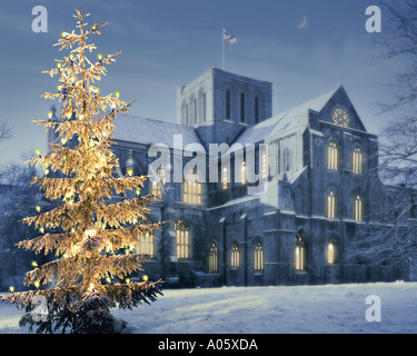 GB - HAMPSHIRE: Winchester Cathedral Stock Photo