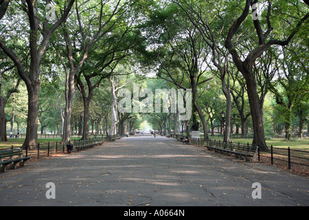 The Mall, Central Park, New York Stock Photo