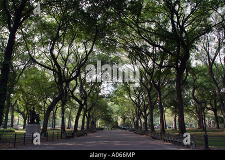 The Mall and Literary Walk, Central Park, New York Stock Photo