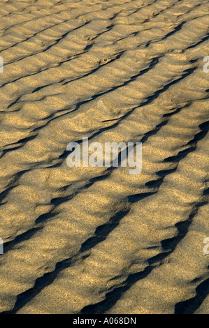 patterns left in sand at the beach by the tide Stock Photo