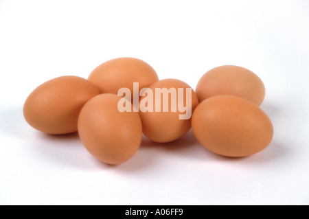 Chicken Eggs Stock Photo