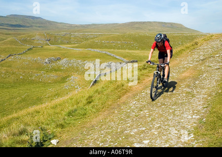 Female mountain biker descends into the valley of Clapham Beck in the Yorkshire Dales with Ingleborough behind Stock Photo