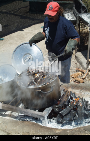 Beach bar and restaurant at Langebaan on the West Coast north of Cape Town South Africa RSA mussels being cooked in large pots Stock Photo