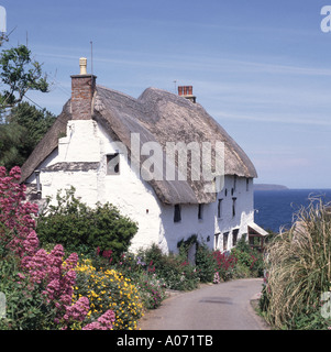Thatched roof on English country cottage homes in narrow Cornish lane & flowers at Church Cove small coastal hamlet parish of Landewednack Cornwall UK Stock Photo