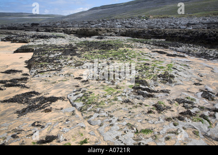 Inter tidal zone carboniferous limestone rock Fanore beach County Clare Ireland Stock Photo