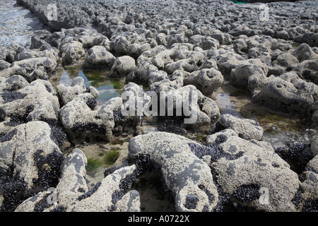 Inter tidal zone Fanore beach County Clare Ireland Stock Photo