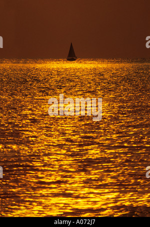 Yacht sailing in sunset with reflections on water Florida Keys USA Stock Photo