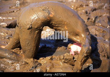 Child playing thick mud with body covered brown mud and head