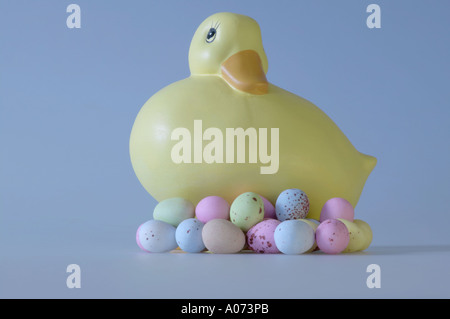 Yellow ceramic chick surrounded by sugar covered chocolate Easter eggs against plain blue background Stock Photo