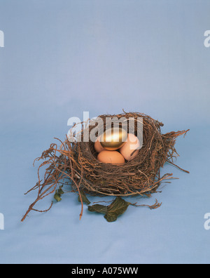 A golden egg in a birds nest on a white background Stock Photo - Alamy
