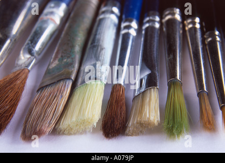selection of paintbrushes laid out in a row Stock Photo