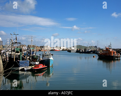 HOWTH Republic of Ireland Europe June A traditional fishing port with fishing boats and lifeboat moored Stock Photo