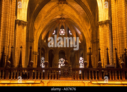 Cathedral of the Holy Cross and Saint Eulalia, Roman Catholic cathedral, Roman Catholicism, Barcelona, Barcelona Province, Spain, Europe Stock Photo