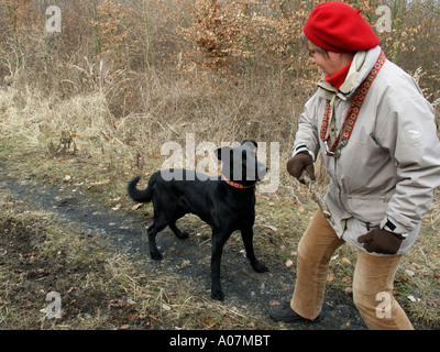 MR PR person woman with a red cap taking a dog for a walk playing with stick in autumn in forest Stock Photo