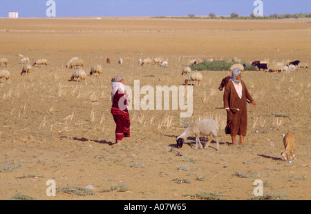 Sahel Tunisia Shepherds Stock Photo