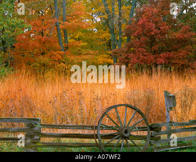 Bureau County, IL Split rail fence and tall grass praire at the edge of an oak maple hardwood forest in fall color Stock Photo