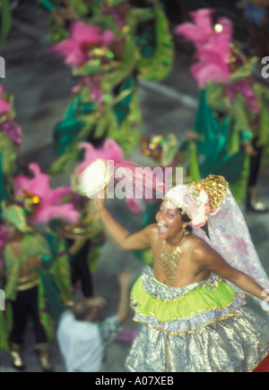 Samba Dancer at the Carnival Parade in Rio de Janeiro, Brazil, South ...