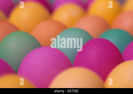 Colorful Easter eggs drying in egg cartons before being hidden on Easter morning Stock Photo