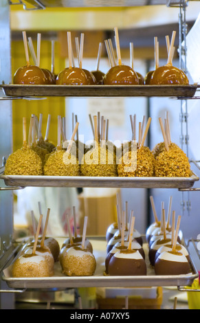 Candy apples cooling in trays Stock Photo