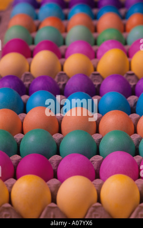 Colorful Easter eggs drying in egg cartons for Easter morning Stock Photo