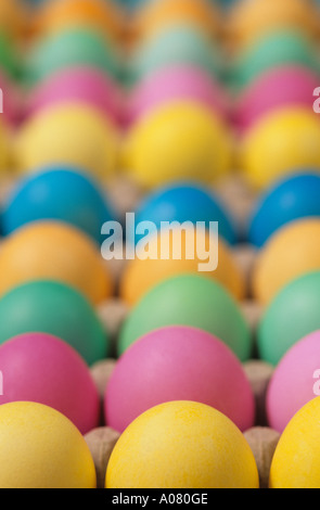 Colorful Easter eggs drying in egg cartons before being hidden on Easter morning Stock Photo