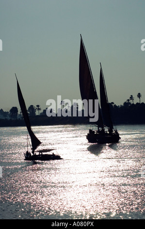 Nile, Felucca Sailing Boats Stock Photo