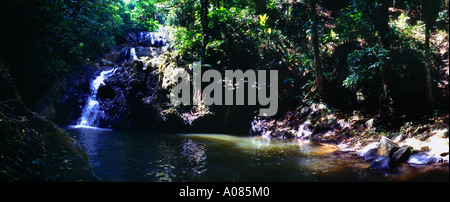 Tobago Argyll Waterfall & Rainforest Stock Photo