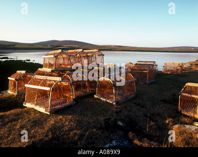 dh Swanbister Scapa Flow ORPHIR ORKNEY Scottish Lobster crab creels coast cages pot Scotland uk fishing fish pots orkneys traps Stock Photo