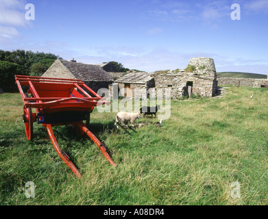 dh Kirbuster Farm Museum BIRSAY ORKNEY Farm box cart and farm buildings sheep and ducks islands scotland Stock Photo