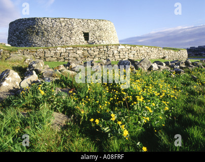 dh  CLICKIMIN BROCH SHETLAND Marsh marigolds on bank Iron Age broch defensive fortification Stock Photo