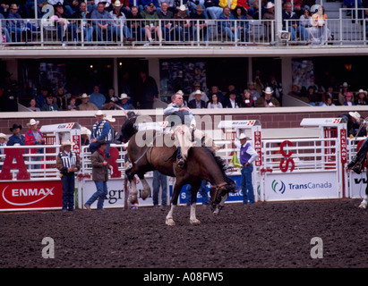 Saddle Bronc Riding at 'Calgary Stampede' Calgary Alberta Canada Stock Photo