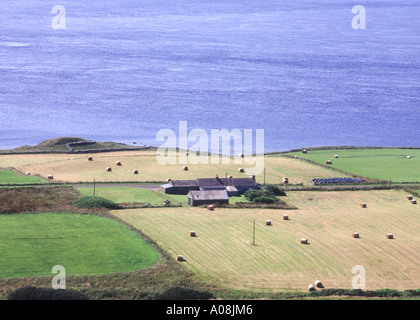 dh  ROUSAY ORKNEY Farm and field Eynhallow Sound Burrian Frotoft
