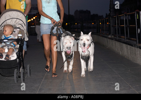 Family group including two large dogs Stock Photo