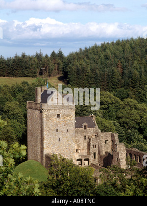 dh Castle Campbell DOLLAR GLEN CLACKMANNAN Scottish Castle Gloom amongst trees Dollar Glen clackmannanshire scotland castles Stock Photo