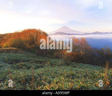 Mt Fuji Yamanashi ken Japan Stock Photo