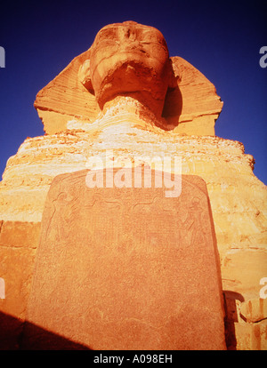 The Sphinx Egypt, at sunrise, Giza, Cairo, North Africa, dramatic front birds eye view of head and dream stele Stock Photo