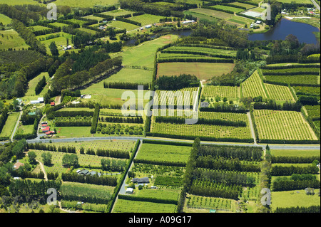 Orchards near Kerikeri Bay of Islands New Zealand aerial Stock Photo