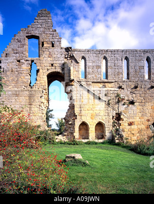 The ruins of the 12th century Jervaulx Abbey North Yorkshire Stock Photo