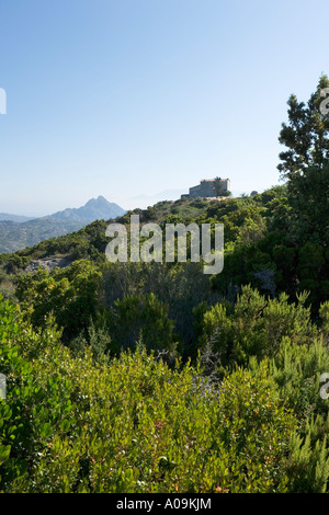 Lone house in the early morning, Desert des Agriates between L'Ile Rousse and St Florent, The Nebbio, North Corsica, France Stock Photo