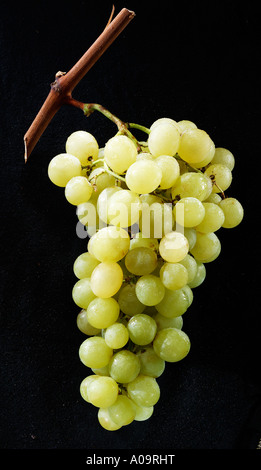 Weintrauben, Grapes Stock Photo