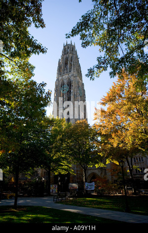 Harkness Tower Yale University Stock Photo