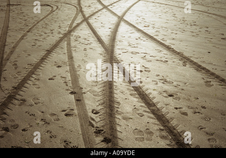 Tyre tread marks and footprints in wet sand Stock Photo