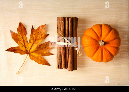 Autumn still life with pumpkin, cinnamon, spices and maple leaf. Stock Photo