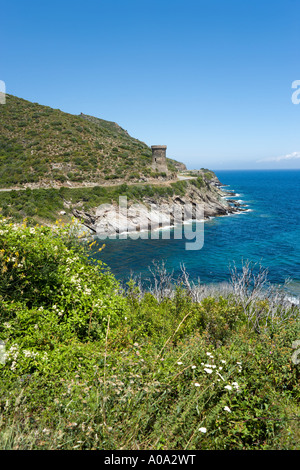 Genoese watchtower on the coast road near Macinaggio, Meria, Cap Corse, Corsica, France Stock Photo