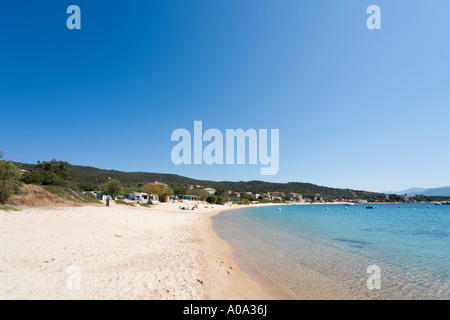 Beach at Porto Pollo, near Propriano, Gulf of Valinco, Alta Rocca, Corsica, France
