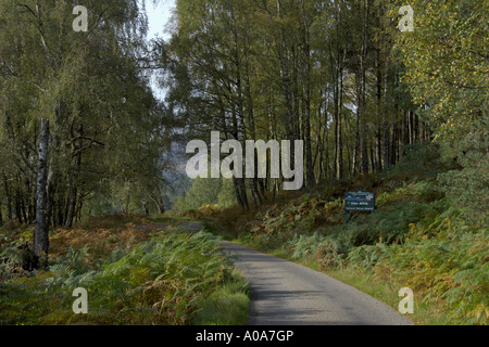 Glen Affric autumn tints entry to glen looking west Cannich near Inverness Scottish Highlands Stock Photo
