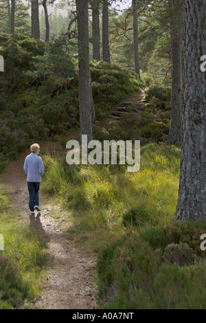Walking in Glen Affric autumn tints River Affric looking west Cannich near Inverness Scottish Highlands 2006 Stock Photo