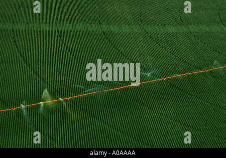 Aerial view of center pivot irrigation of corn in Nebraska Stock Photo
